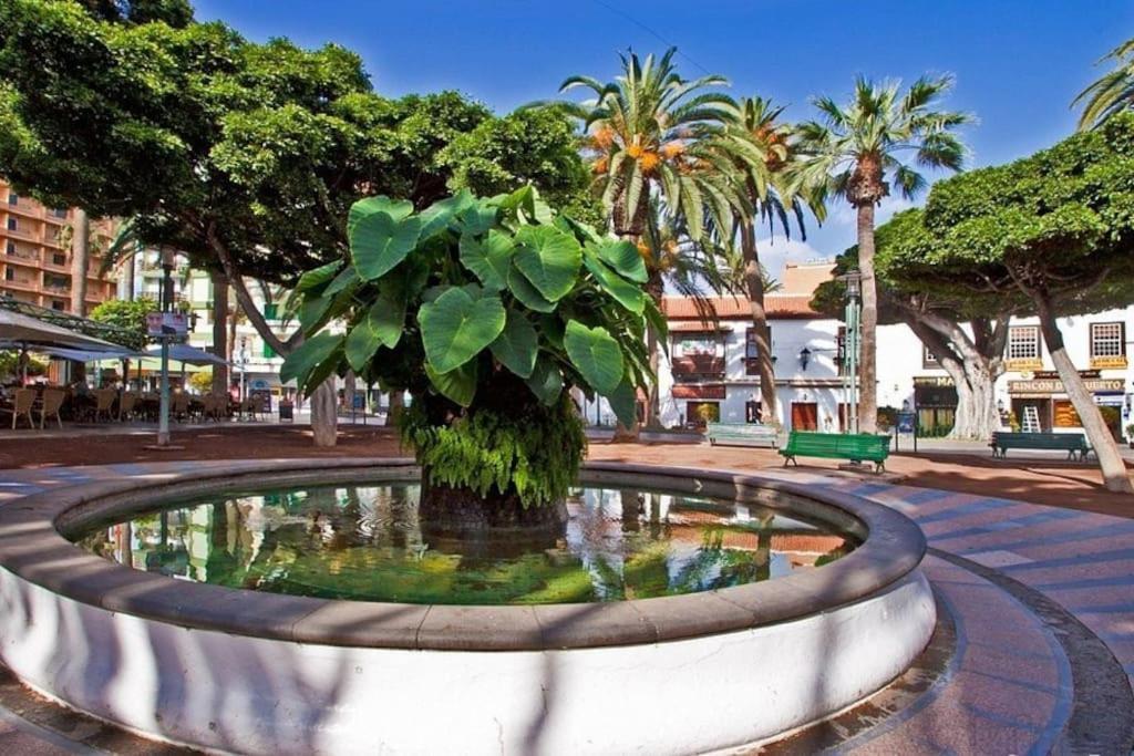 Centrico, Comodo Y Bello Apto En Puerto De La Cruz ภายนอก รูปภาพ